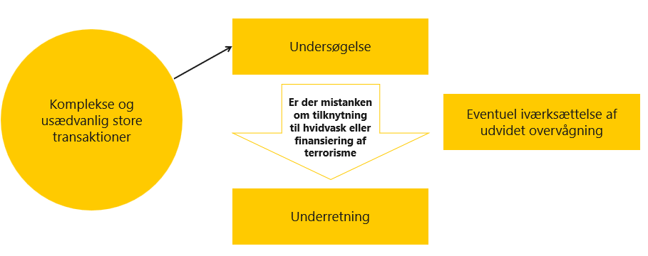 Procesbeskrivelse af undersøgelsesforpligtelsen tilpasset fra Finanstilsynets vejledning figur side 110